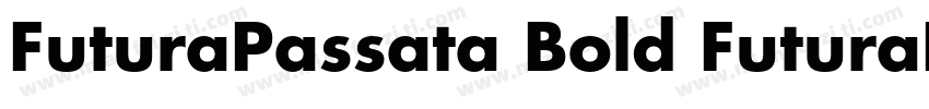 FuturaPassata Bold FuturaPassata B字体转换